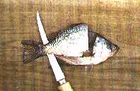 Fillet Step 3
